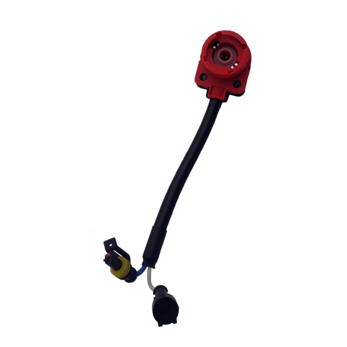 PORTA FOCO D2R / D2S / D4S / D4R (502-JP-0041)
