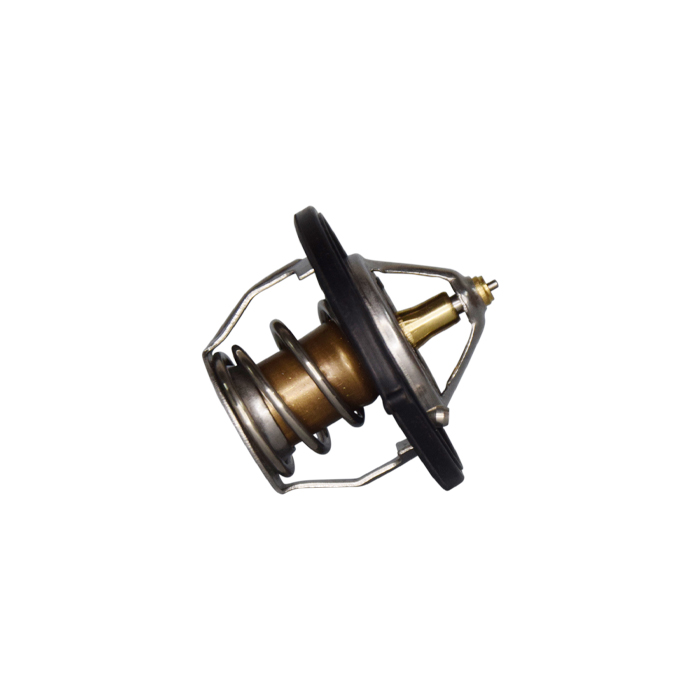 TERMOSTATO HYUNDAI ACCENT, VELOSTER, I30, ELANTRA 06-13 (25500-2B000)