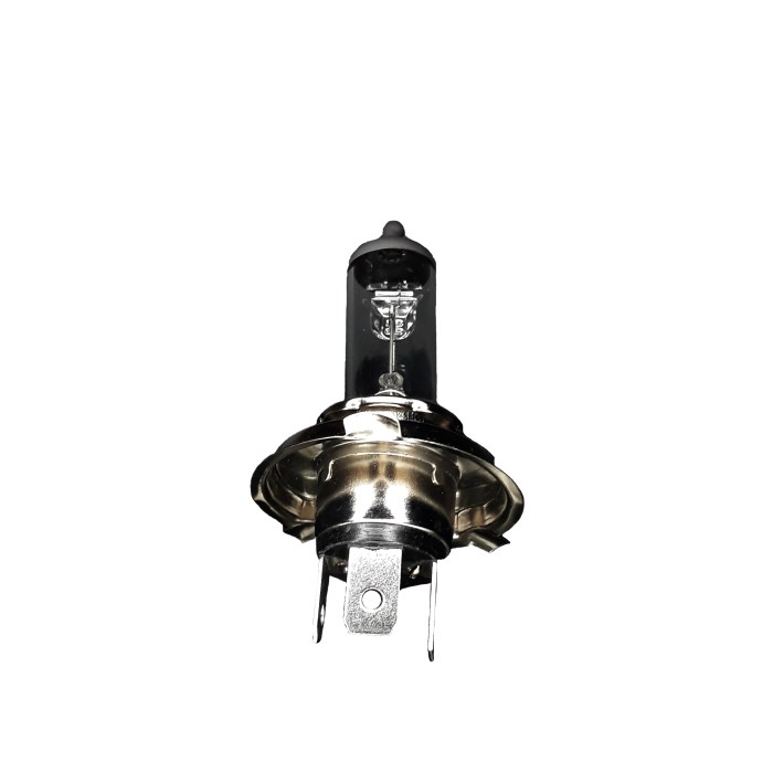 FOCO H4 12V 100/90W P43 T