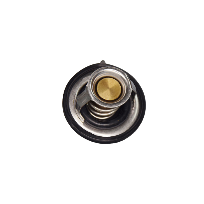 TERMOSTATO HYUNDAI ACCENT, VELOSTER, I30, ELANTRA 06-13 (25500-2B000)