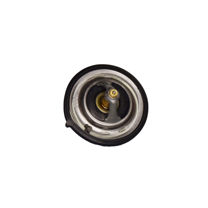 TERMOSTATO HYUNDAI ACCENT, VELOSTER, I30, ELANTRA 06-13 (25500-2B000)